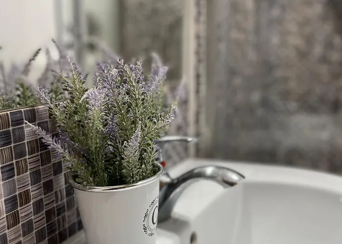 公寓 Mossapartments 布加勒斯特