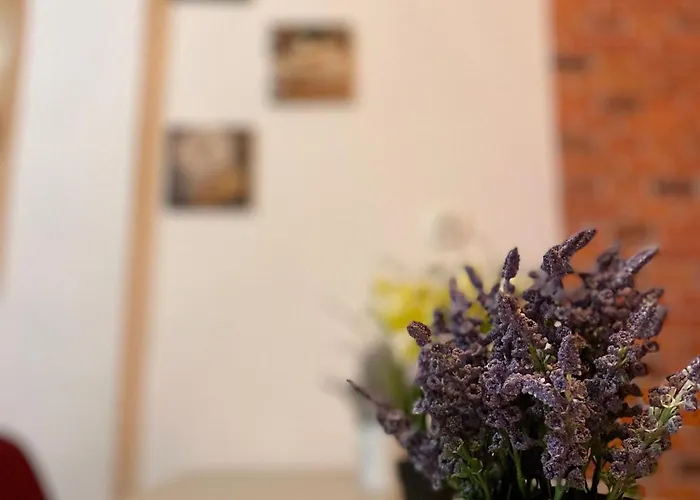 公寓 Mossapartments