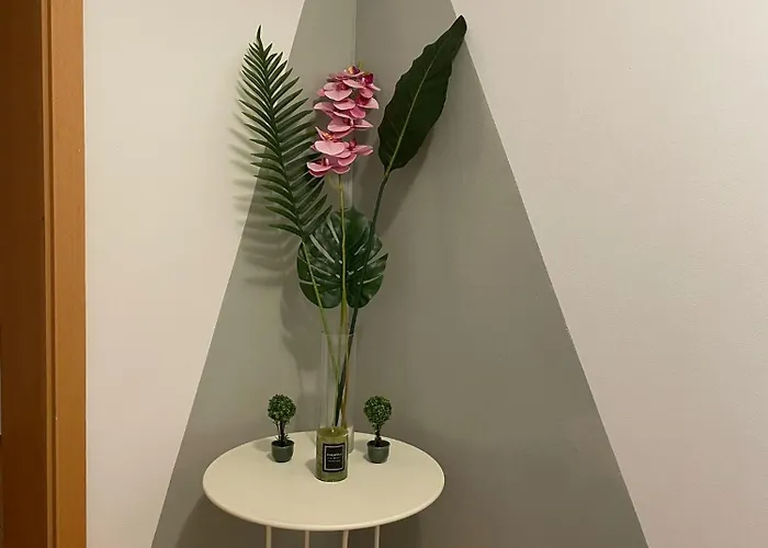 Mossapartments 公寓 *