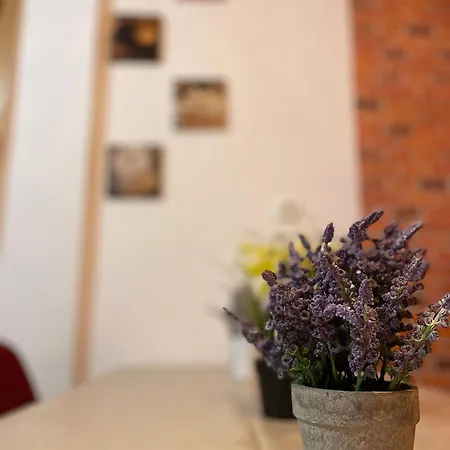 Lejlighed Mossapartments